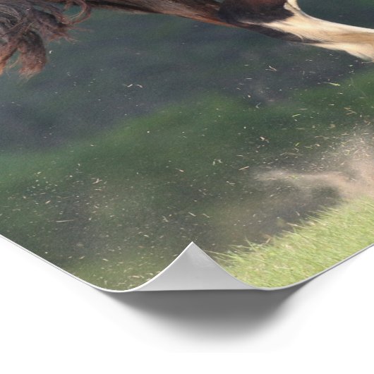 Bob Langrish | Reitpferde Poster (Ecke)