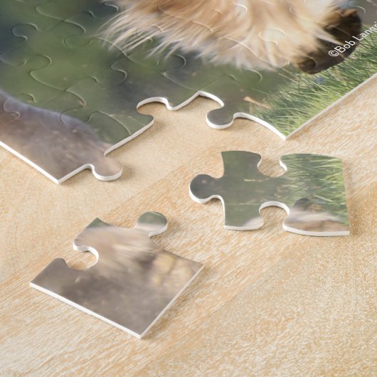 Bob Langrish | Reitpferde Puzzle (Seite)