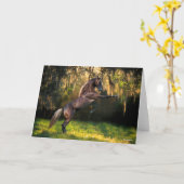 Bob Langrish | Rocky Mountain Horaring Karte (Gelbe Blume)