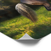 Bob Langrish | Rocky Mountain Horaring Poster (Ecke)