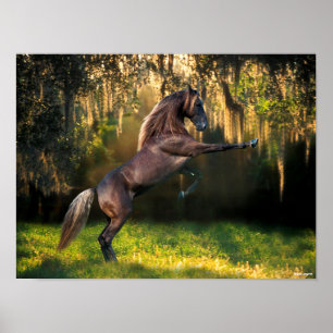 Bob Langrish   Rocky Mountain Horaring Poster