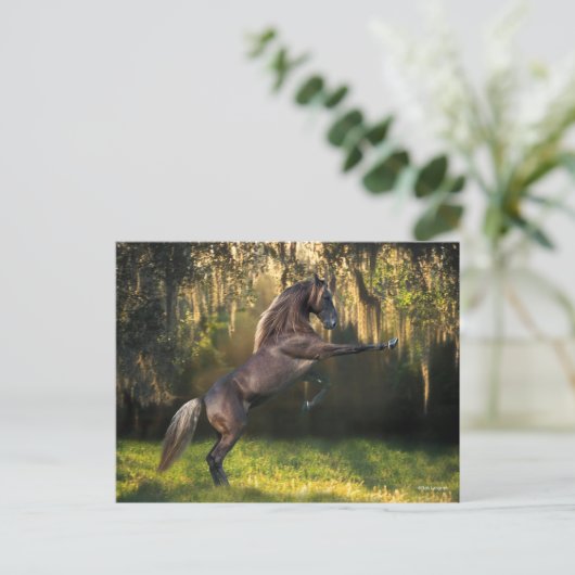 Bob Langrish | Rocky Mountain Horaring Postkarte (Stehend Vorderseite)