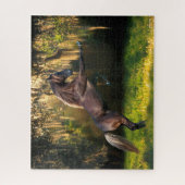 Bob Langrish | Rocky Mountain Horaring Puzzle (Vertikal)