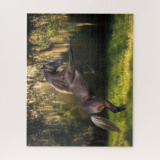 Bob Langrish | Rocky Mountain Horaring Puzzle (Vertikal)