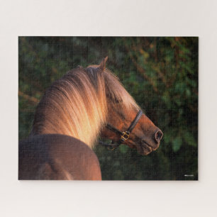 Bob Langrish Rocky Mountain Horse Headshot Puzzle