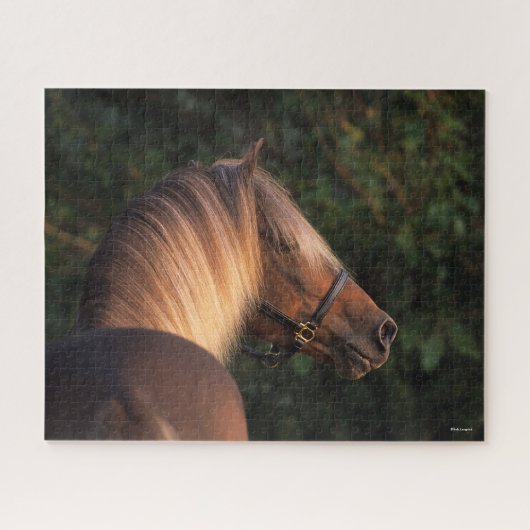 Bob Langrish | Rocky Mountain Horse Headshot Puzzle (Horizontal)