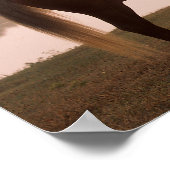 Bob Langrish Rocky Mountain Pferd Stehend Backlit Poster (Ecke)