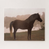 Bob Langrish Rocky Mountain Pferd Stehend Backlit Puzzle (Horizontal)