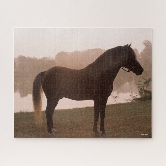 Bob Langrish Rocky Mountain Pferd Stehend Backlit Puzzle (Horizontal)