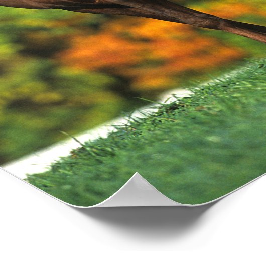 Bob Langrish Rocky Mountain Pferd Stehend Herbst Poster (Ecke)