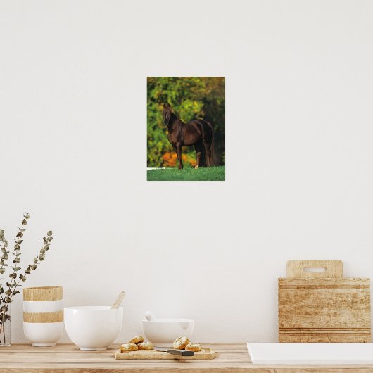 Bob Langrish Rocky Mountain Pferd Stehend Herbst Poster (Küche)