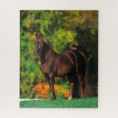 Bob Langrish Rocky Mountain Pferd Stehend Herbst Puzzle (Vertikal)