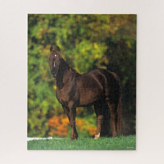 Bob Langrish Rocky Mountain Pferd Stehend Herbst Puzzle (Vertikal)
