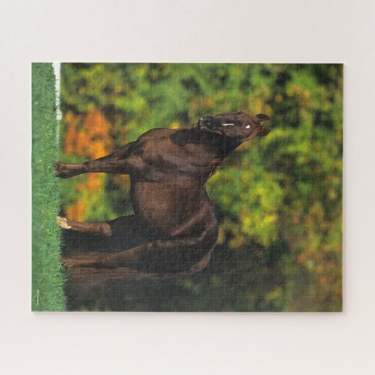 Bob Langrish Rocky Mountain Pferd Stehend Herbst Puzzle (Horizontal)