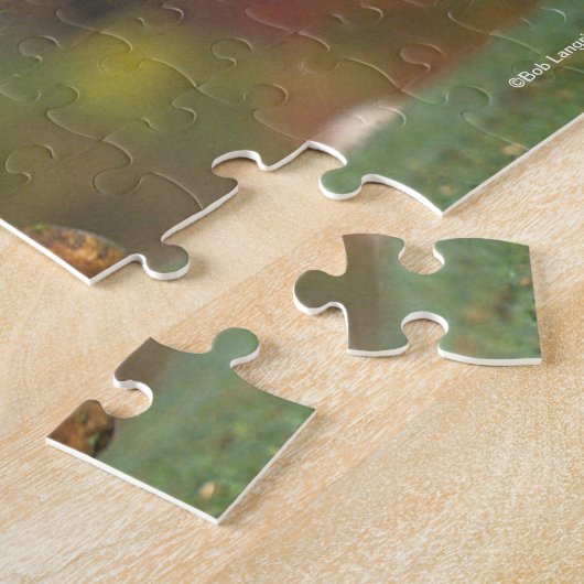 Bob Langrish | Rocky Mountain Pferde Herbst Puzzle (Seite)