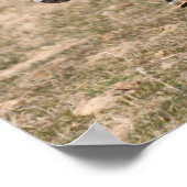 Bob Langrish | Schnelle Ausführung von Miniaturpon Poster (Ecke)