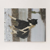 Bob Langrish Schwarz und Weiß Walisische Cob im Sc Puzzle (Horizontal)