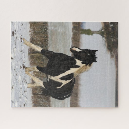 Bob Langrish Schwarz und Weiß Walisische Cob im Sc Puzzle (Horizontal)