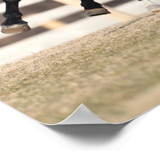 Bob Langrish | Schwarzandalusisches Pferderennen Poster (Ecke)