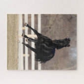 Bob Langrish | Schwarzandalusisches Pferderennen Puzzle (Horizontal)