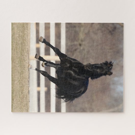 Bob Langrish | Schwarzandalusisches Pferderennen Puzzle (Horizontal)