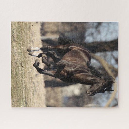 Bob Langrish | Schwarzandalusisches Pferderennen Puzzle (Horizontal)