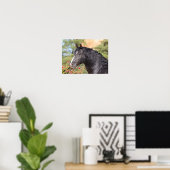 Bob Langrish | Schwarzer andalusischer Hengst Poster (Heimbüro)