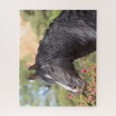 Bob Langrish | Schwarzer andalusischer Hengst Puzzle (Vertikal)