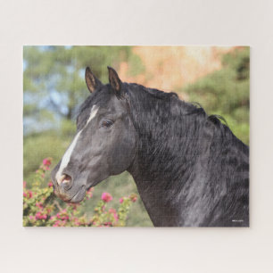 Bob Langrish Schwarzer andalusischer Hengst Puzzle