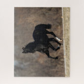 Bob Langrish | Schwarzer andalusischer Stallion Ru Puzzle (Vertikal)