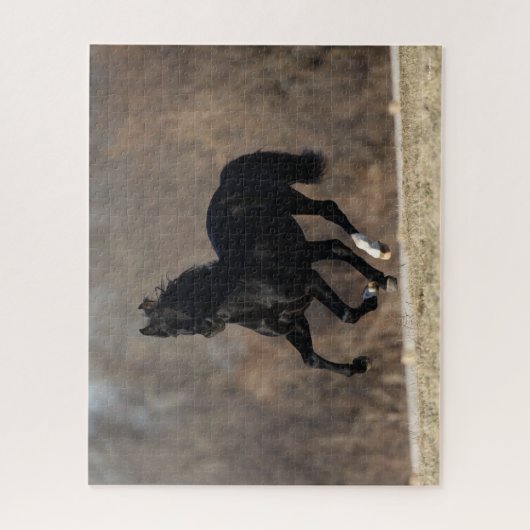 Bob Langrish | Schwarzer andalusischer Stallion Ru Puzzle (Vertikal)