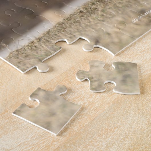 Bob Langrish | Schwarzer andalusischer Stallion Ru Puzzle (Seite)