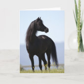 Bob Langrish | Schwarzer Arabischer Stalin Stehend Karte (Vorderseite)