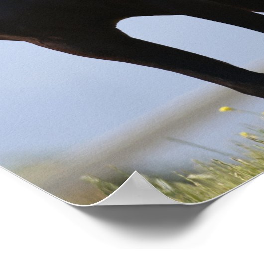 Bob Langrish | Schwarzer Arabischer Stalin Stehend Poster (Ecke)