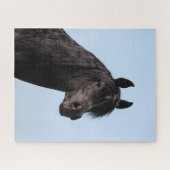 Bob Langrish | Schwarzer Arabischer Stallion-Heads Puzzle (Horizontal)