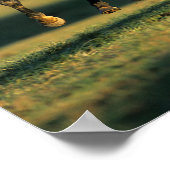 Bob Langrish | Schwarzer Vollblutlauf Poster (Ecke)