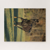 Bob Langrish | Schwarzer Vollblutlauf Puzzle (Horizontal)