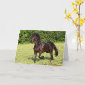 Bob Langrish | Schwarzfriespferd Karte (Gelbe Blume)