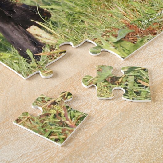 Bob Langrish | Schwarzfriespferd Puzzle (Seite)