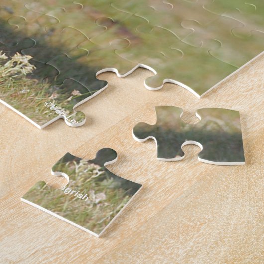 Bob Langrish | Schwarzfriespferd Puzzle (Seite)