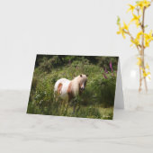 Bob Langrish | Shetland Pony Stehend in Blume Karte (Gelbe Blume)