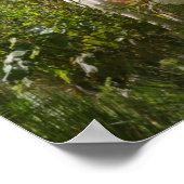 Bob Langrish | Shetland Pony Stehend in Blume Poster (Ecke)