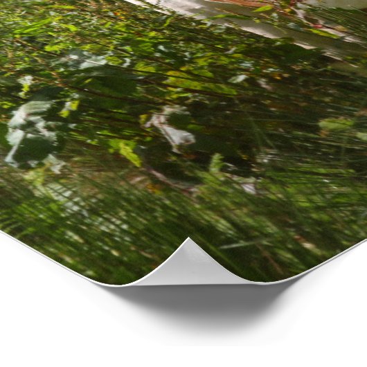 Bob Langrish | Shetland Pony Stehend in Blume Poster (Ecke)