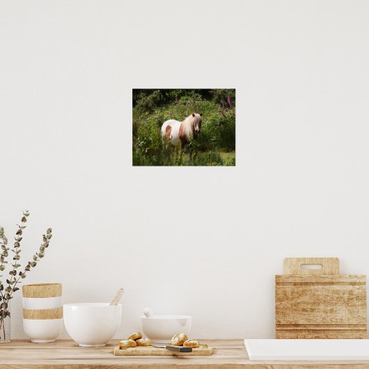 Bob Langrish | Shetland Pony Stehend in Blume Poster (Küche)