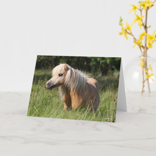 Bob Langrish Shetland Pony Stehend in Long Grass Karte (Gelbe Blume)