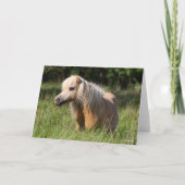 Bob Langrish Shetland Pony Stehend in Long Grass Karte (Vorderseite)
