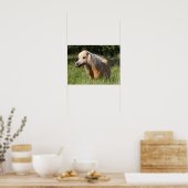 Bob Langrish Shetland Pony Stehend in Long Grass Poster (Küche)