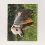 Bob Langrish Shetland Pony Stehend in Long Grass Puzzle (Vertikal)