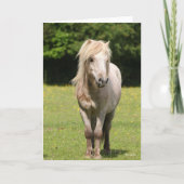 Bob Langrish | Shetland Pony Stehend Karte (Vorderseite)