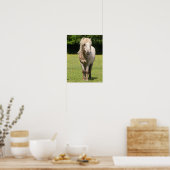 Bob Langrish | Shetland Pony Stehend Poster (Küche)
